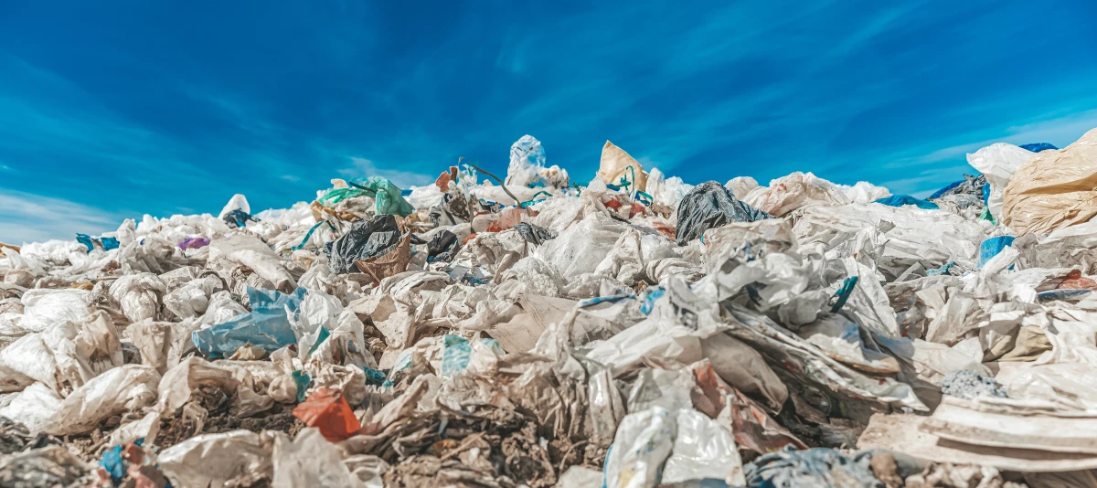 Le rôle crucial du droit international dans la protection de l'environnement